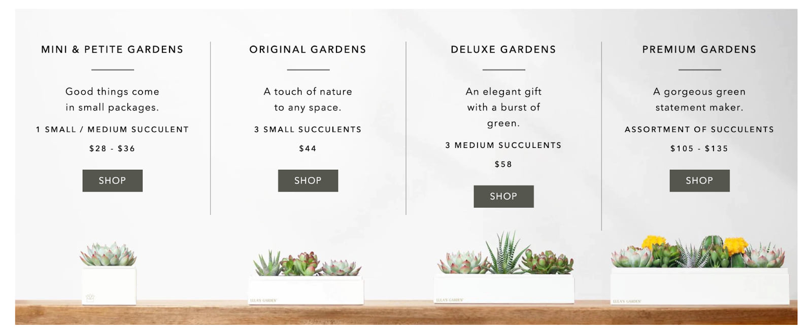 Lula's Garden price and value for money