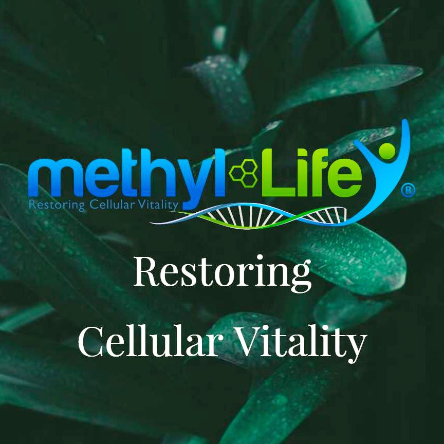 10 OFF Methyl Life Coupon Codes February 2024 Promo Codes