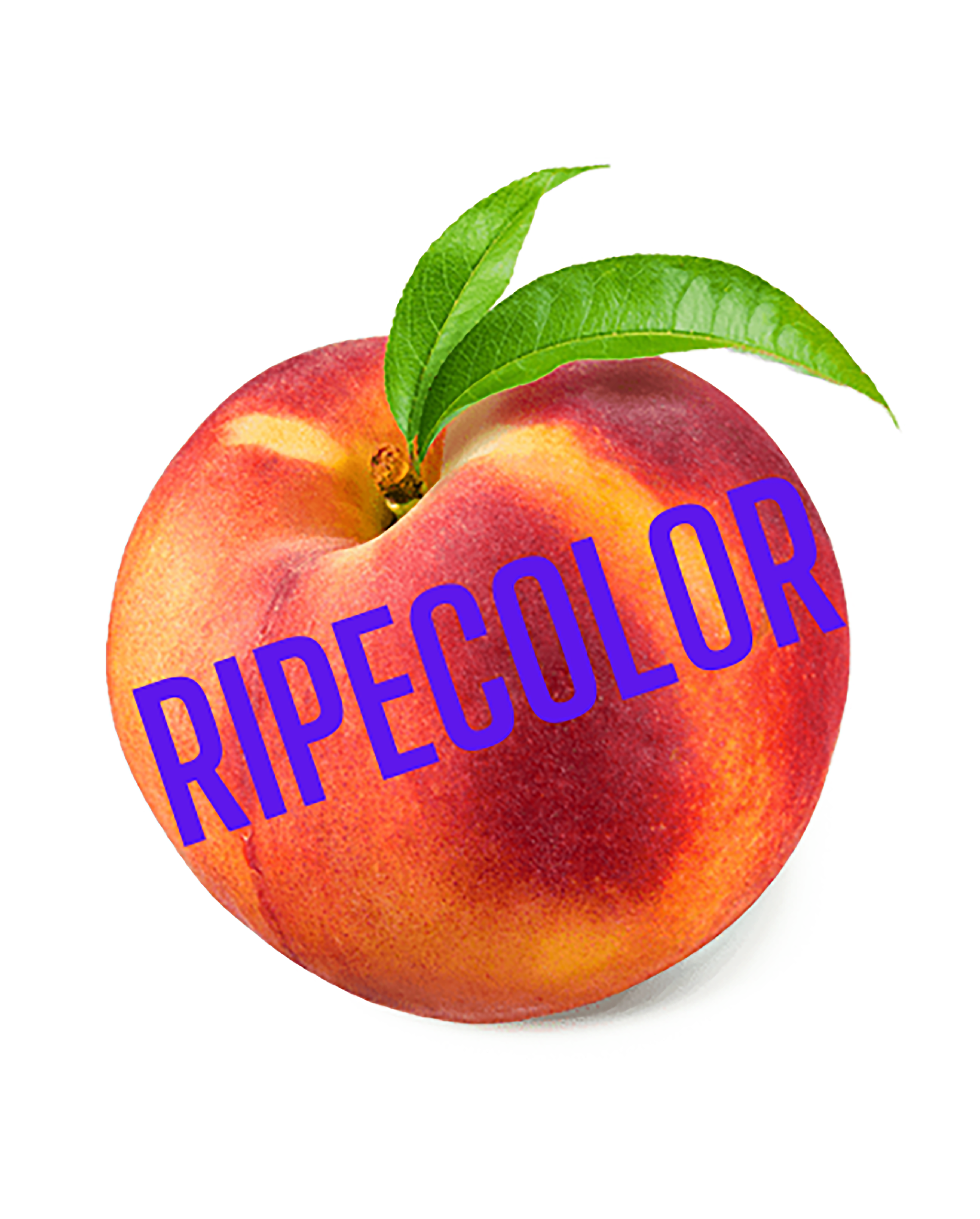 store-logo