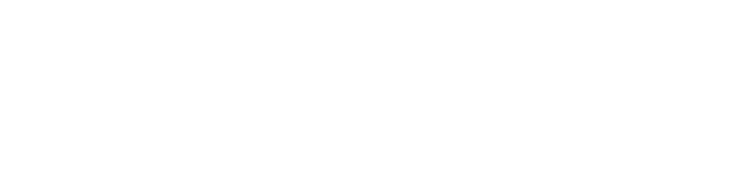 Saltie Sports.