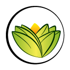 The Ayurveda Experience UK