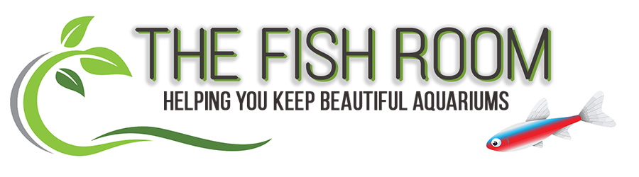 store-logo
